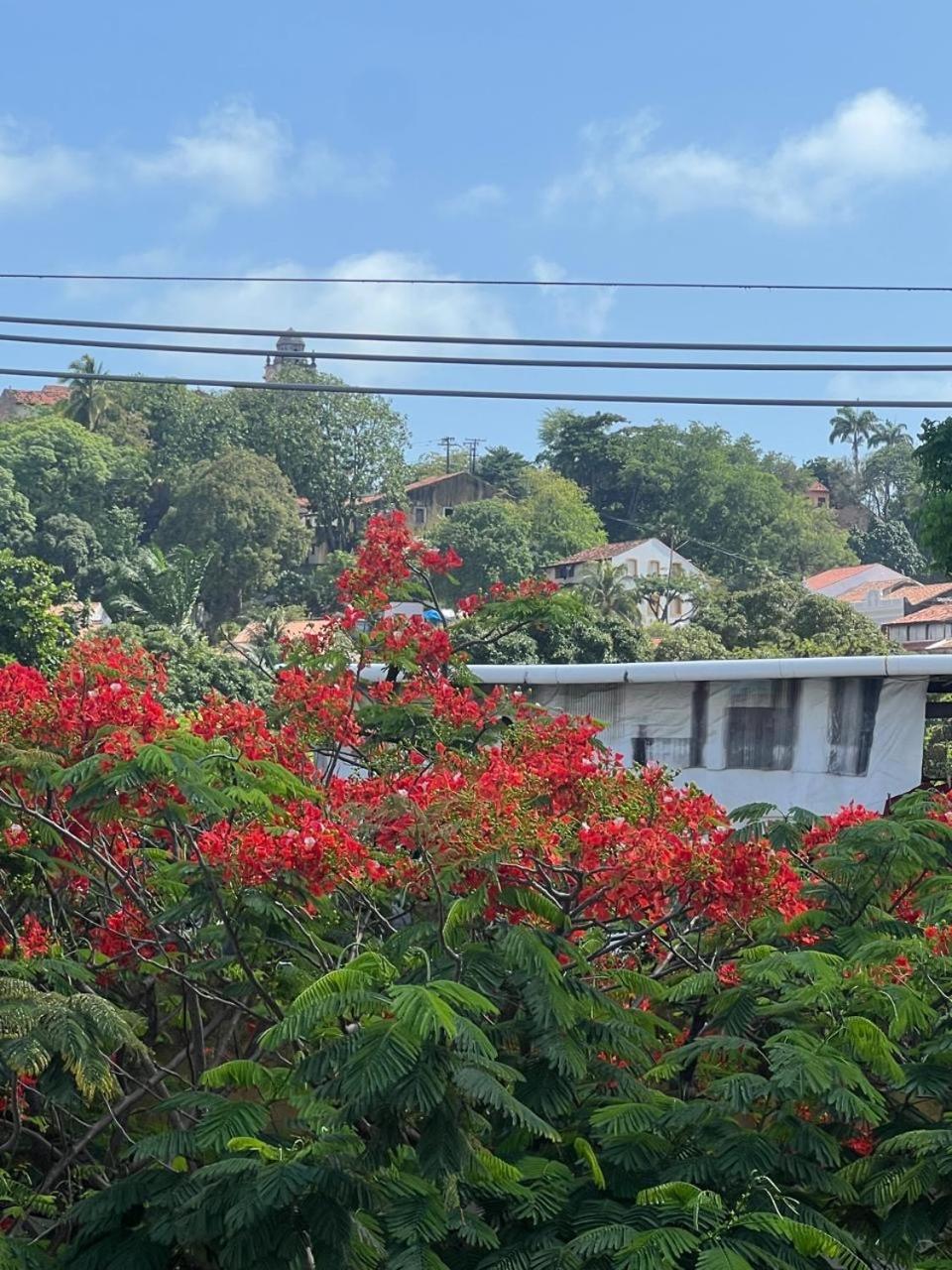 Pousada Do Leo Olinda Kültér fotó